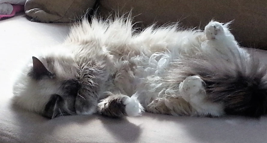 Benny