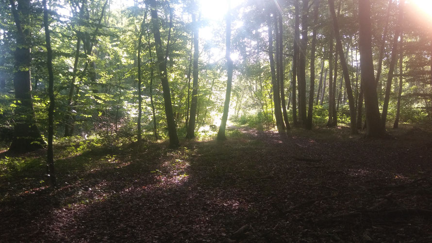 waldbaden