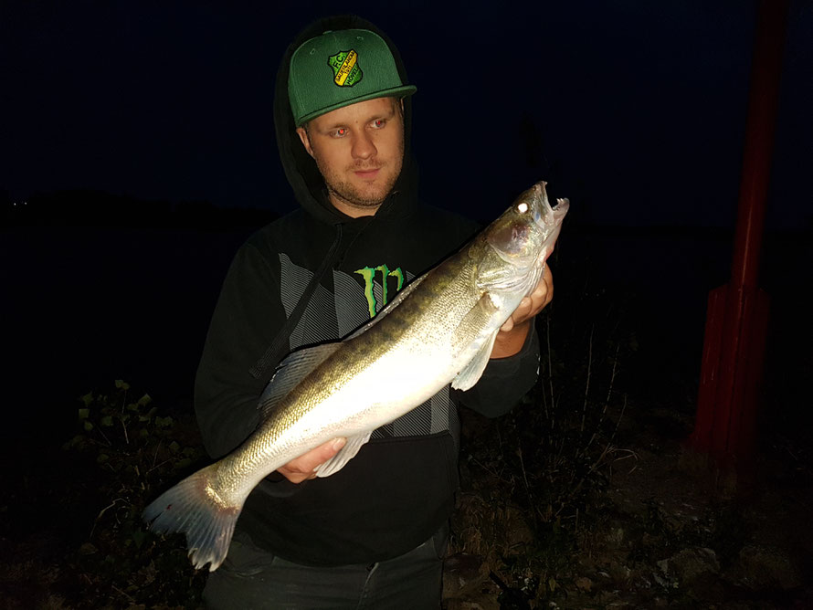 Marius mit schönen Prallhang Zander am Rhein....oft stehen die besseren Zander auf der Prallseite!