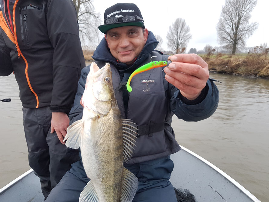 Marc mit Zander auf Gummifisch in "Standard" Zanderlänge 12-13cm