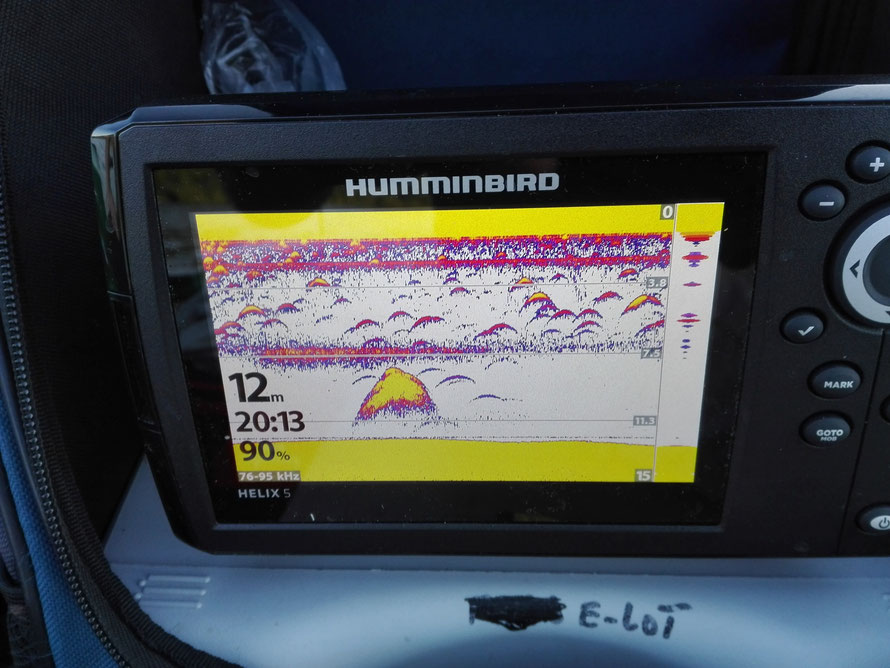 Humminbird Helix 5 im Einsatz