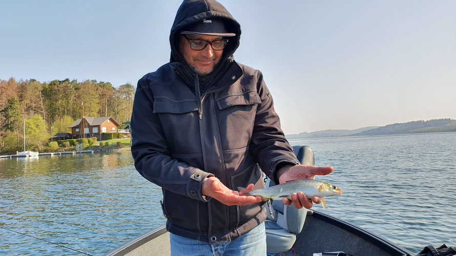 Teamer Marc mit 30er Sorpesee Renke gefangen im April auf eine dunkle Hegene auf 18m