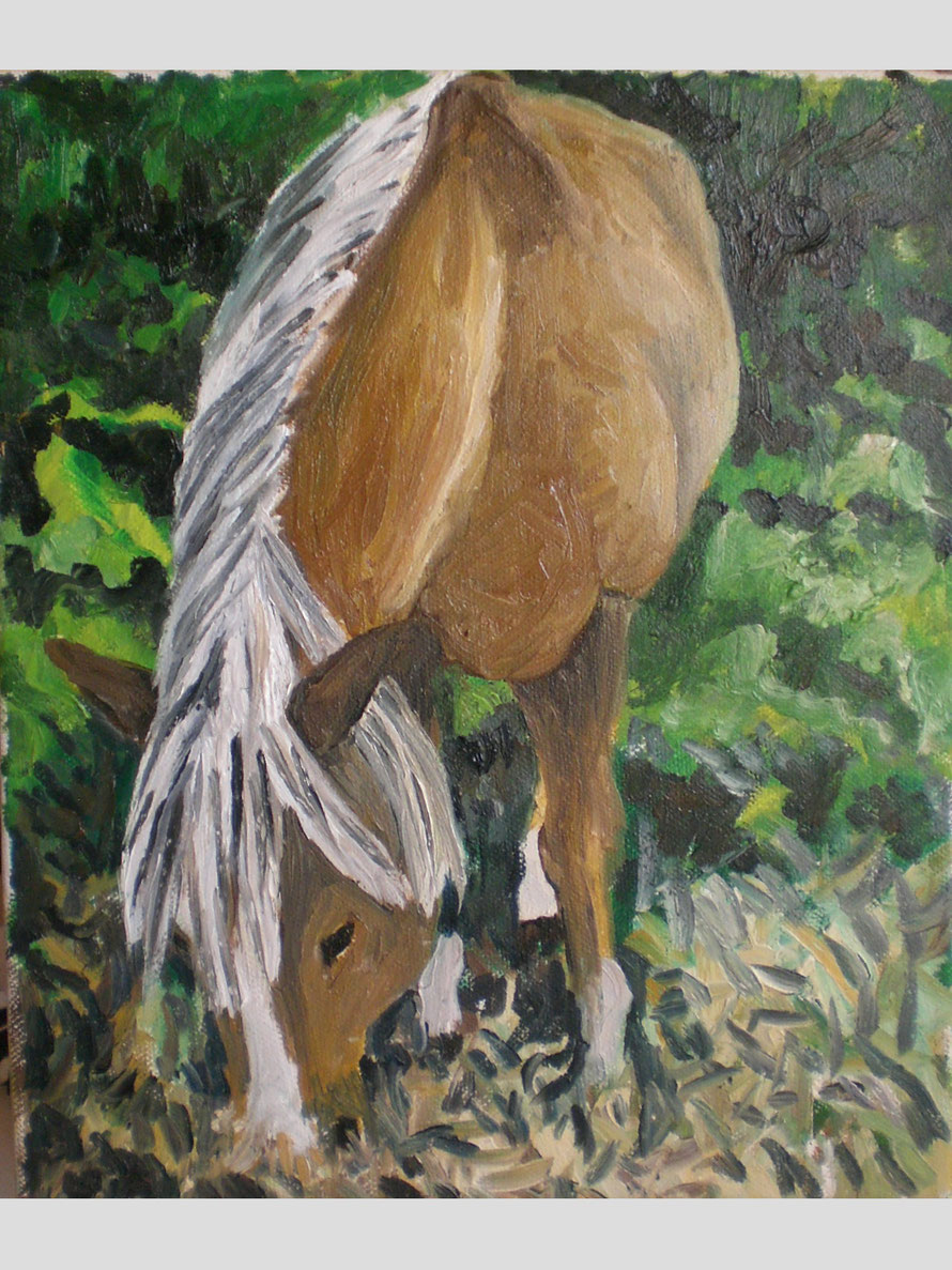 Stella 35 X 40, Öl auf Leinwand