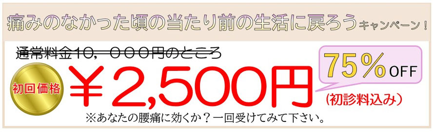 初回価格2500円