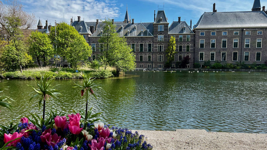 Ideal für eine Pause: das Ufer des Hofvijvers am Den Haager Binnenhof