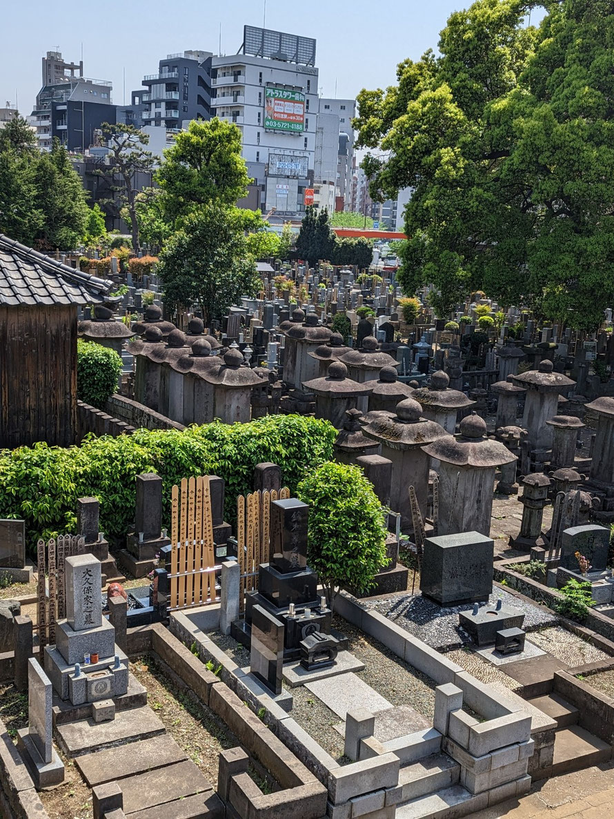 同じ形をした大きなお墓群が黒田家のお墓です