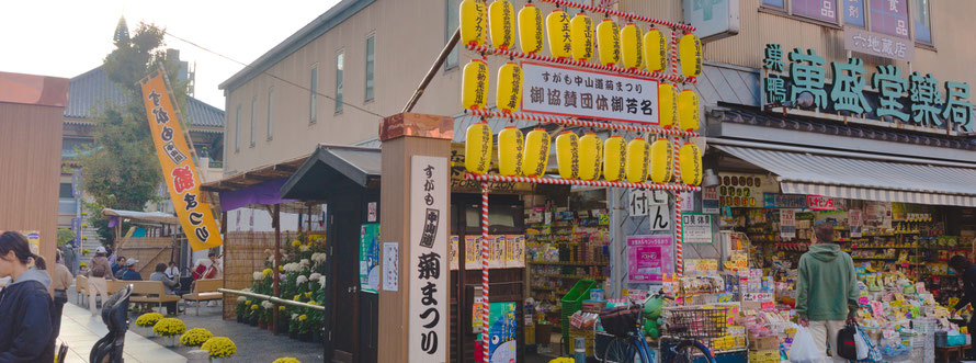 巣鴨菊祭り