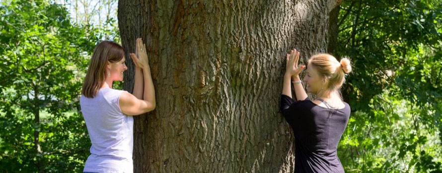 Yoga Reise Sauerland