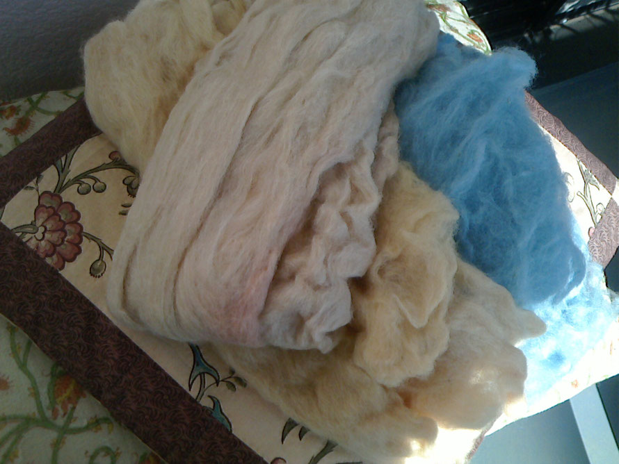 こちらは原毛ですが、木綿の綿もこんな感じです。