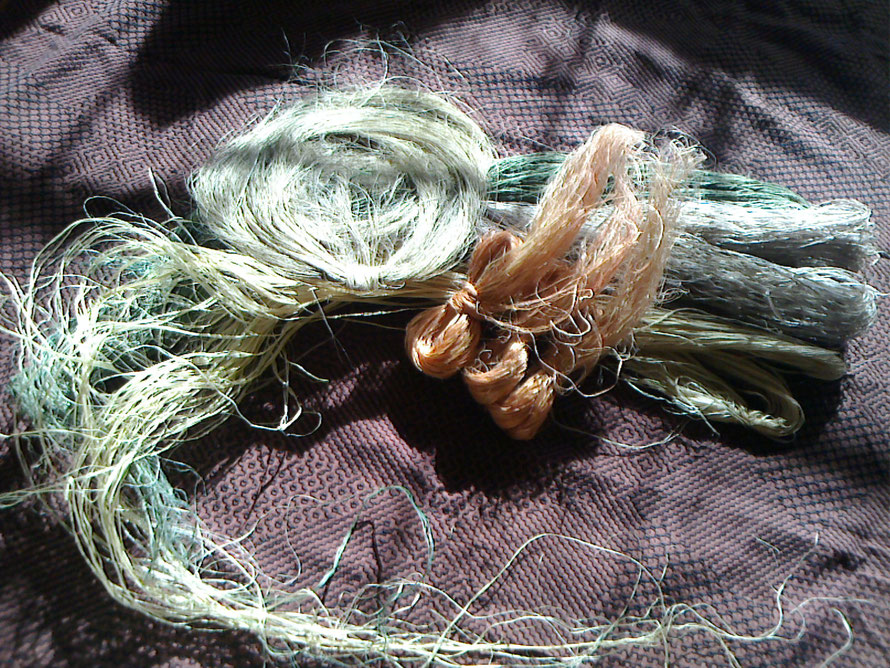 苧麻の、リボン状の束の上に、（上から藍染め、藍の紫染め、染めて無い物）。左の輪っか状の物は、繊維を細かく裂いたどんぐり染めの繊維です。右側は、糸にし易いように整えた桜染めの繊維です。