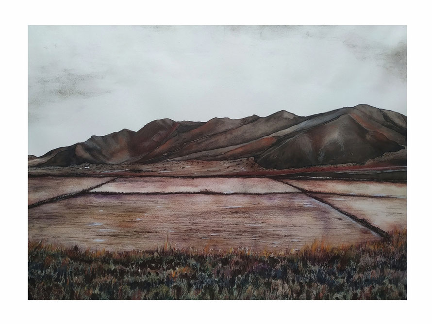 La sal y la tierra Carbón, carboncillo líquido, pastel y acuarela/ papel 56x76cm