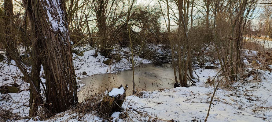15.02.2026, Soll am Wege nach Zarnekla, eines der Himmelsaugen in der Landschaft
