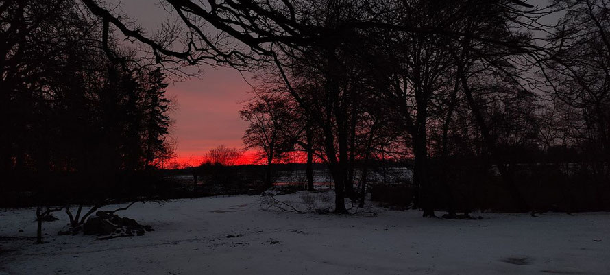 16. Februar 2026 Morgenrot