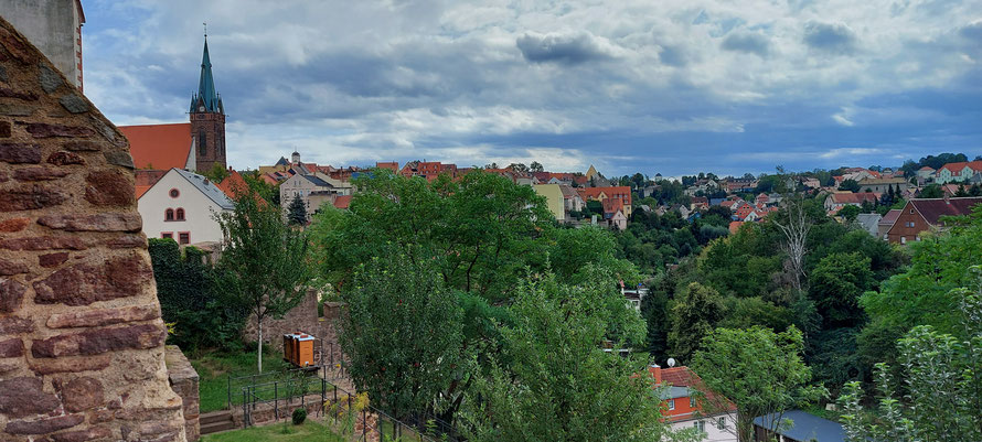 Blick vom Burggarten aus über die Stadt Leisnig