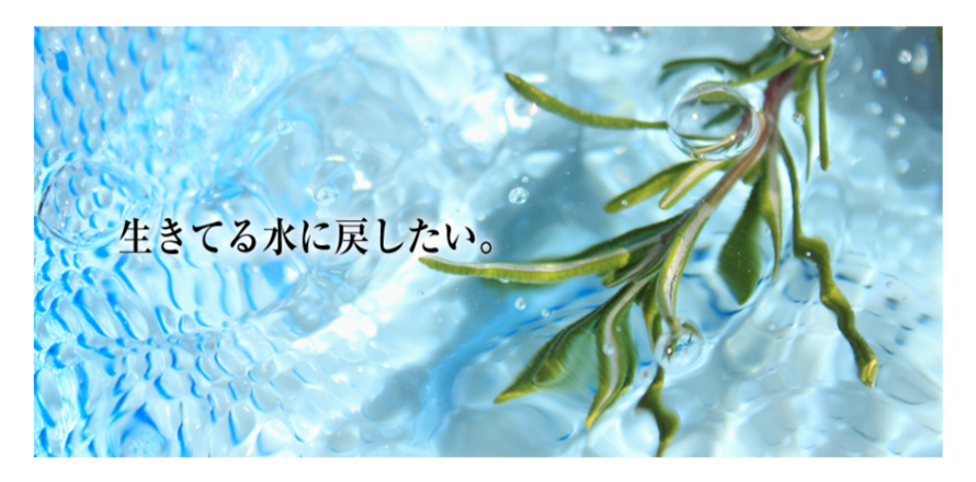νG7 (ニュージーセブン) 量子水 - take1food ページ! νG7 (ニュージーセブン) 量子水 - take1food ページ!