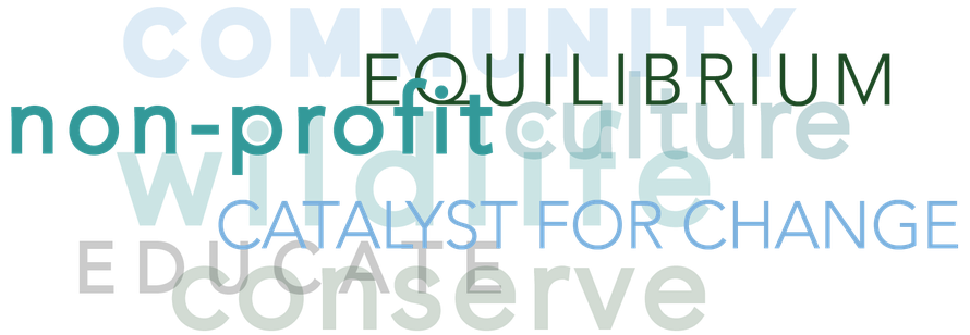 Jafuta Foundation - Community - Education - Culture - Conservation - Wildlife - Zimbabwe