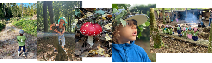 Spass im Wald Spass in der Natur spielen und lachen