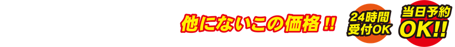 竹富島シュノーケルツアーをお楽しみください!!