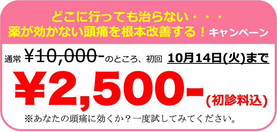 薬で治らないほどの頭痛を根本改善キャンペーン。初回2,500円。あなたの頭痛に効くか？一回受けてみてください。調布　頭痛専門整体 彩り