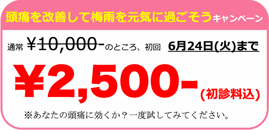 薬が効かない頭痛を根本改善！キャンペーン。通常10,000円のところ、初回2,500円。あなたの頭痛に効くか？一度試してみてください。