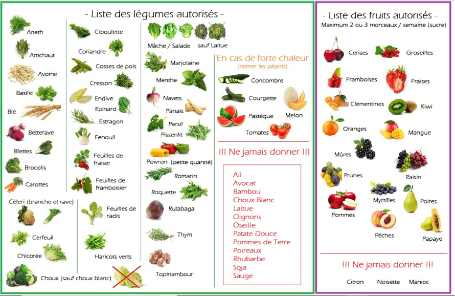 Nourritures Site de leslapinsbelier