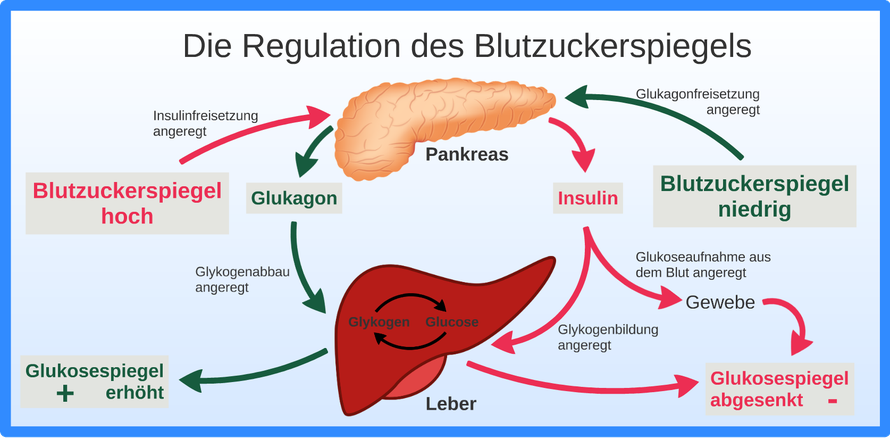 by Markus Gruber - CC0 gemeinfrei