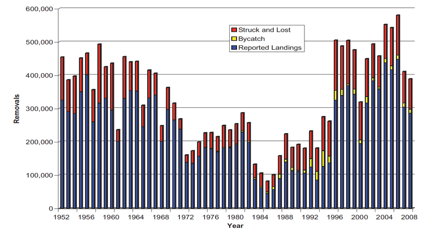 Total removals of Northwest Atlantic harp seals, 1952-2008. (Source: Prospect for Sealing Symposium 2008 below).