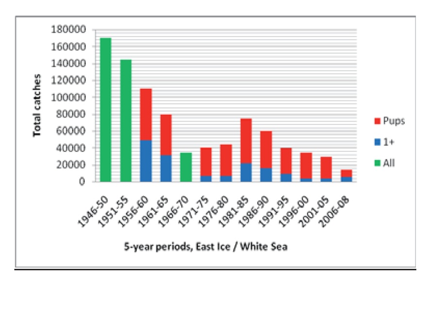 Total Norwegian and Russian catches of harp seals in the Barents Sea (East Ice) and White Sea after World War II. Total catches are given as means for 5-year periods (last period only 3 years). (Surce: Prospect for Sealing Symposium 2008 below).