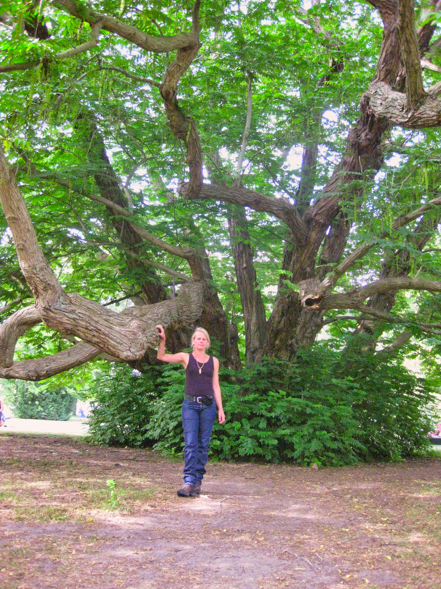 Unser Stadtratsmitglied Claudia Funke und ein Parkbaum/Klimabaum z.B. Flügelnuss (botanisch: Pterocarya fraxinifolia).
