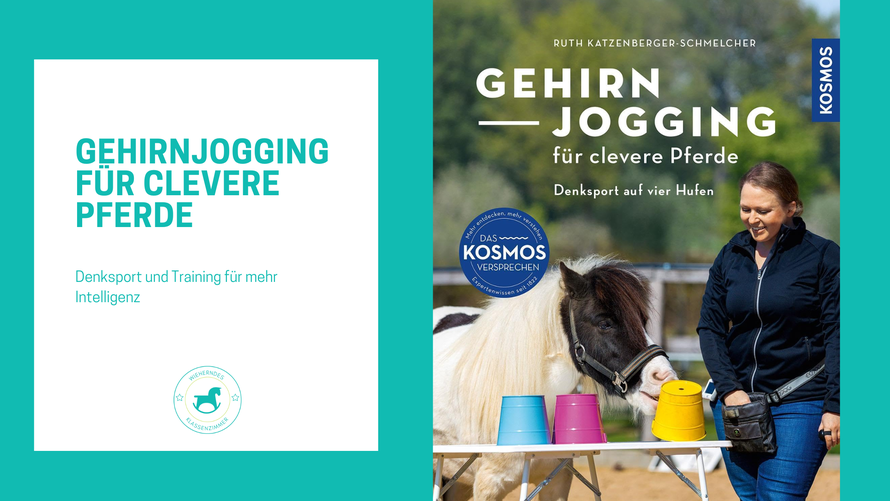 Pferde clever fördern – so geht’s! In „Gehirnjogging für clevere Pferde“ zeigt Expertin Dr. Ruth Katzenberger-Schmelcher praxisnahe Denksport- und Bewegungsübungen, die Abwechslung, Spaß und Fortschritt ins Training bringen. Für Reittherapeuten.