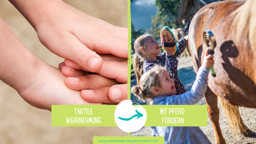 Ideenkiste zur Förderung der kindlichen Wahrnehmung im Rahmen von Reittherapie und Reitpädagogik - mit Spielen Kinder effektiv fördern!