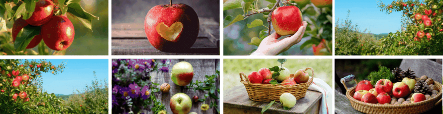 Äpfel, rote, grüne, Körbe, Apfelbaum, Herz, Hand, Tisch, Natur