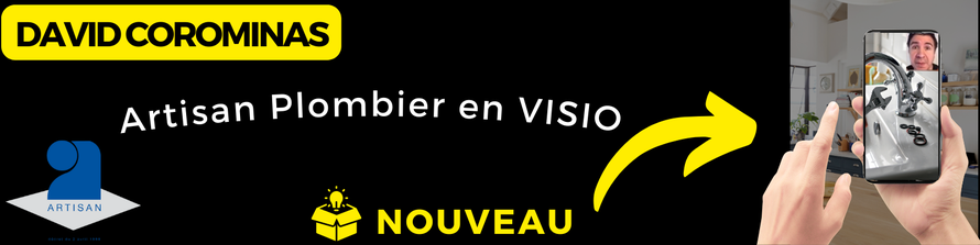 Un client recevant des conseils en visioconférence.