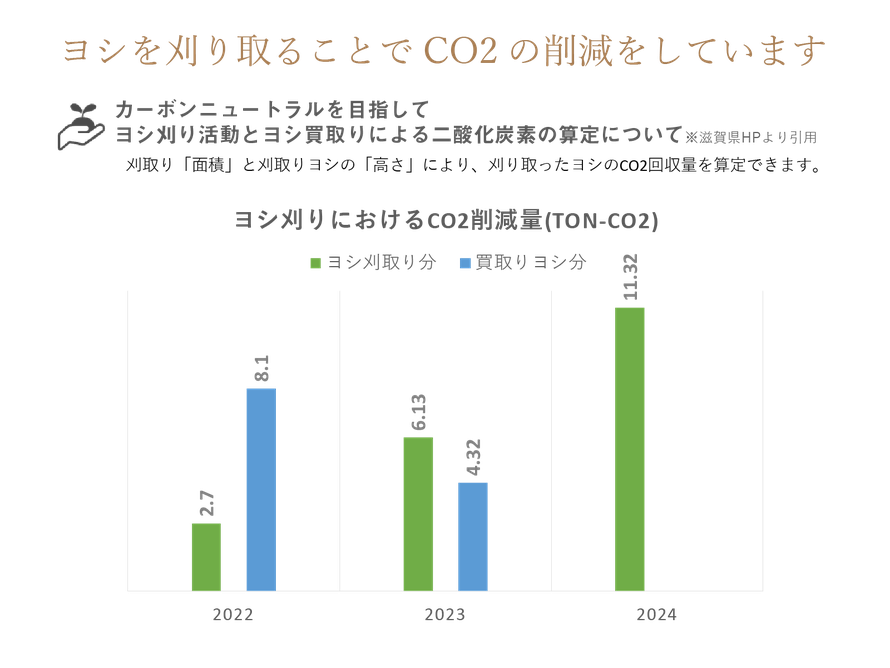 ヨシを刈り取ることでCO2削減をしています。