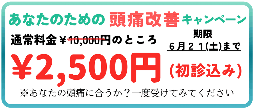 頭痛薬が効かない頭痛を治します。初回限定価格