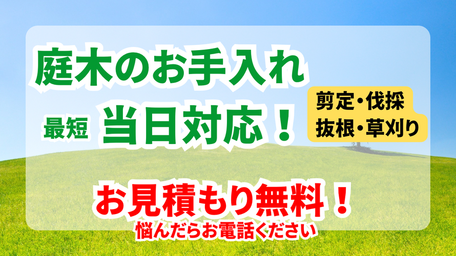 庭木の剪定・伐採・抜根・草刈りなら便利屋トムズ