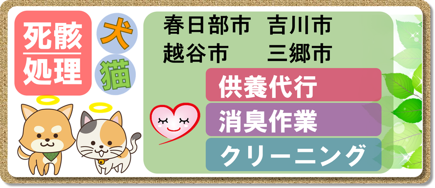 春日部市｜越谷市｜吉川市｜三郷市｜死骸処理｜犬｜猫｜死骸｜死体｜処理｜片付け｜腐敗｜消臭｜クリーニング｜小動物｜供養代行｜腐敗臭｜