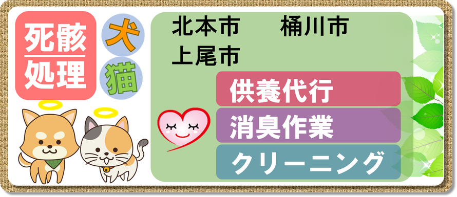 上尾市｜桶川市｜北本市｜死骸処理｜犬｜猫｜死骸｜死体｜処理｜片付け｜腐敗｜消臭｜クリーニング｜小動物｜供養代行｜腐敗臭｜