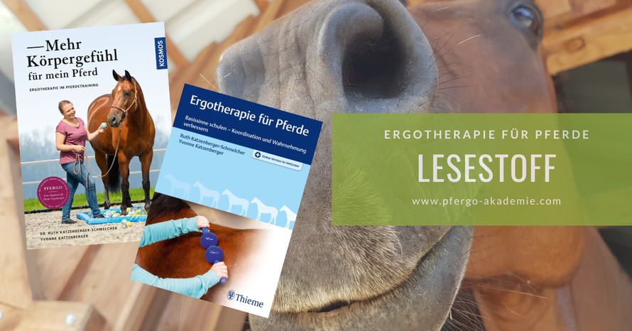 Ergotherapie für Pferde: Bücher und Webinare zum Thema.