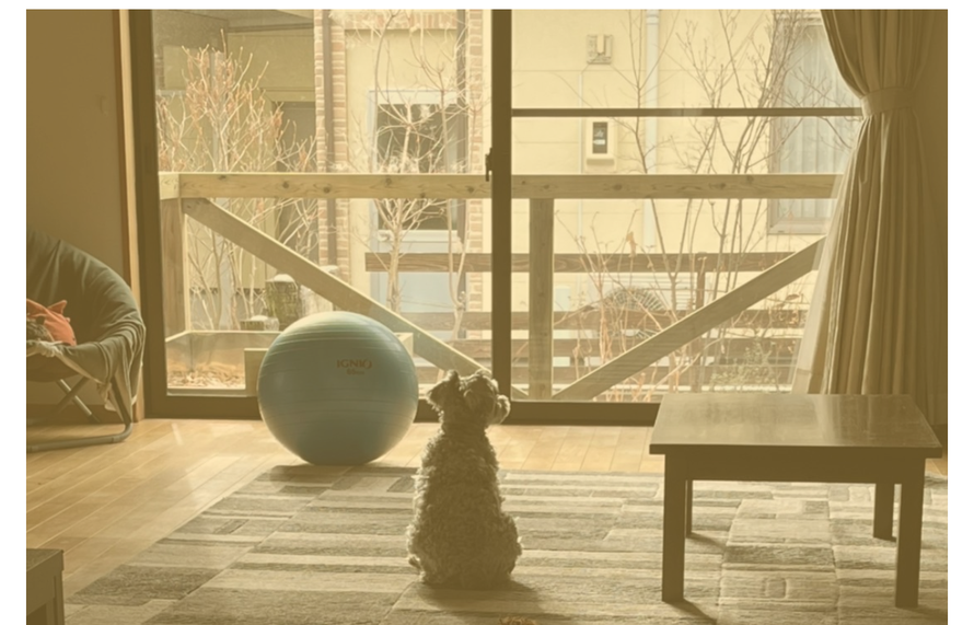 家のこと、苦手でいい。だから、工夫はおもしろい。