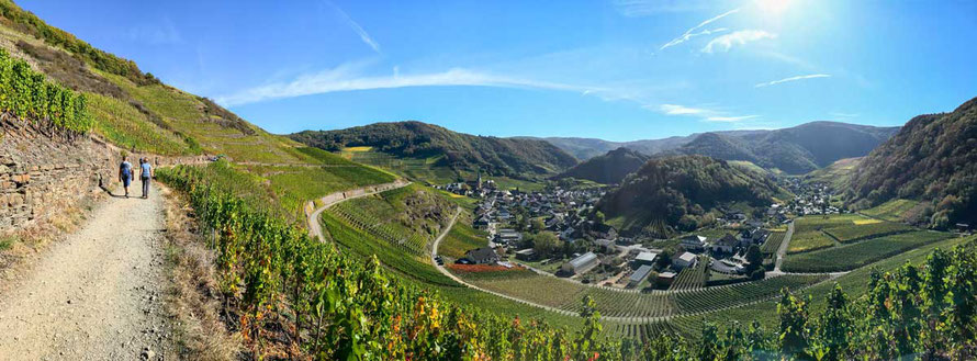 Rotweinwanderweg
