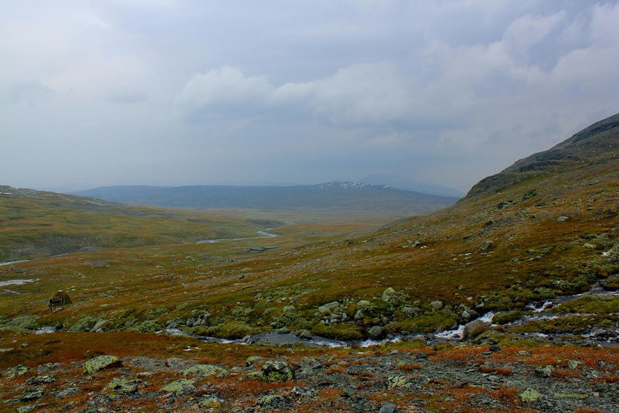 Blick zurück, Richtung Süden