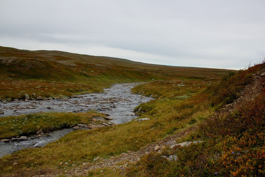 Der Fluss Gåsen. Hier wurde mal wieder eine größere Pause gemacht