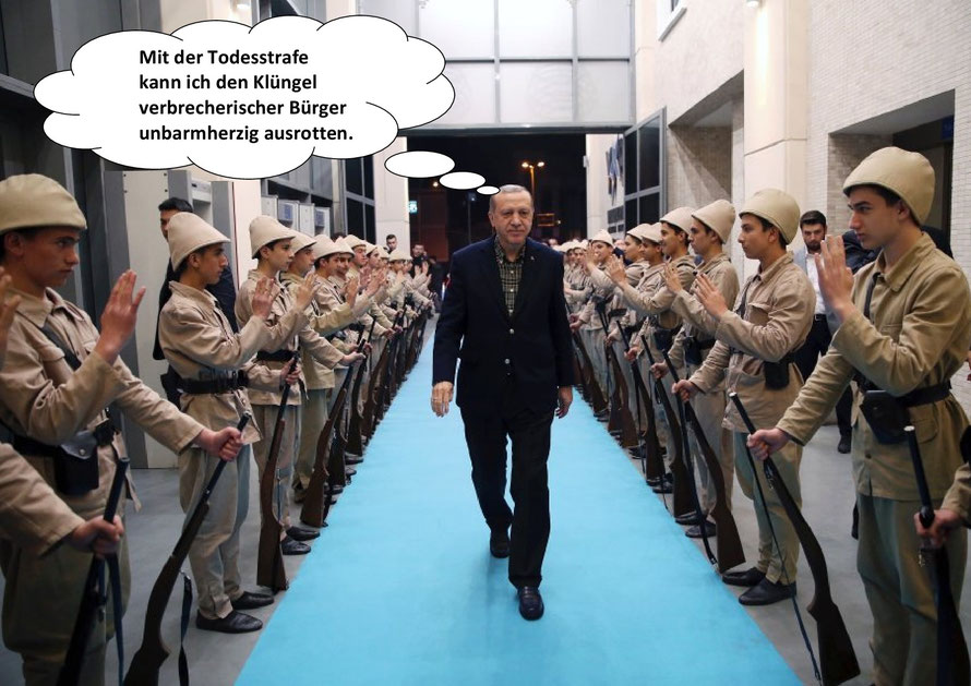 Recep Tayyip Erdogan, Despot 