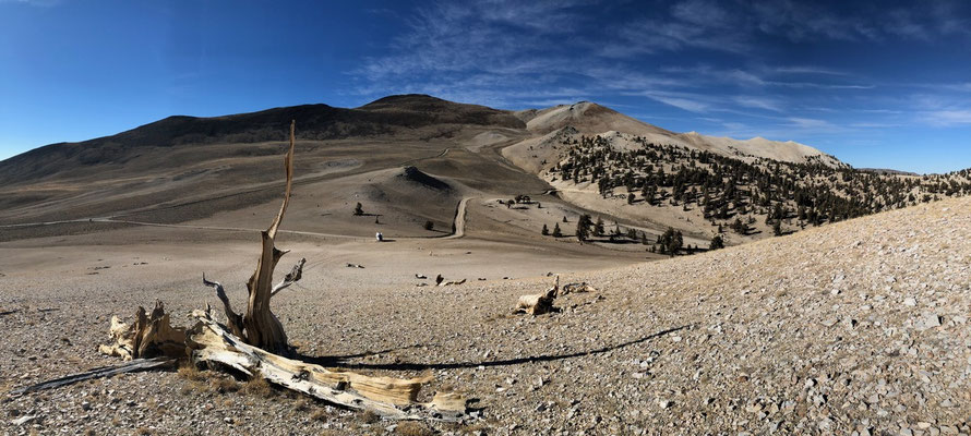 View on to the White Mountains, California