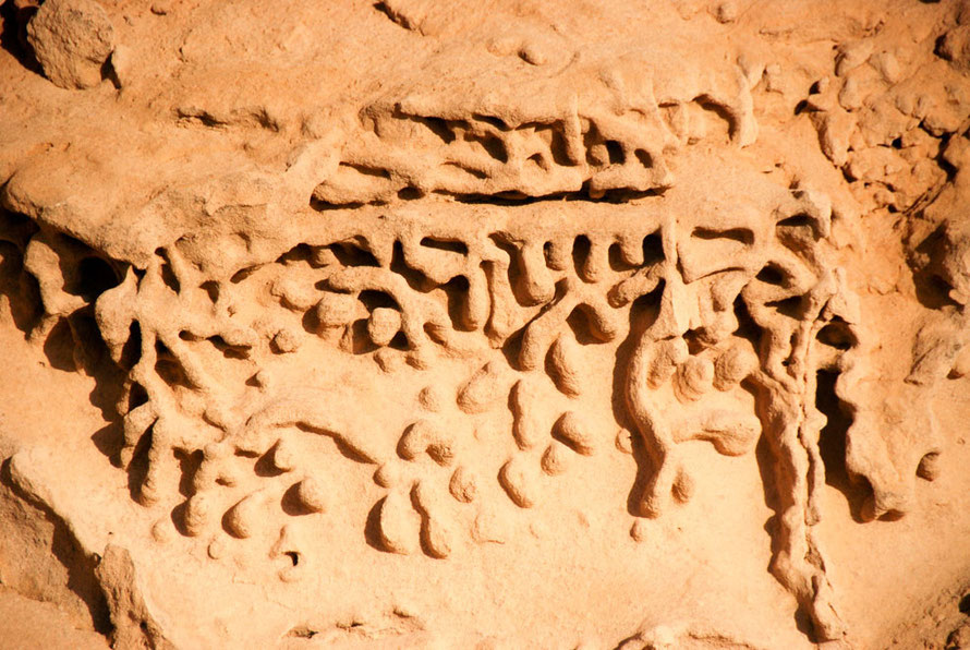 Wind-worn script in sandstone