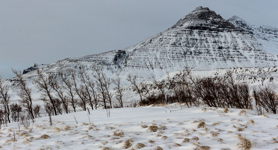 Iceland,winter,landscape,snaefellsnes,snow,mountain,trees