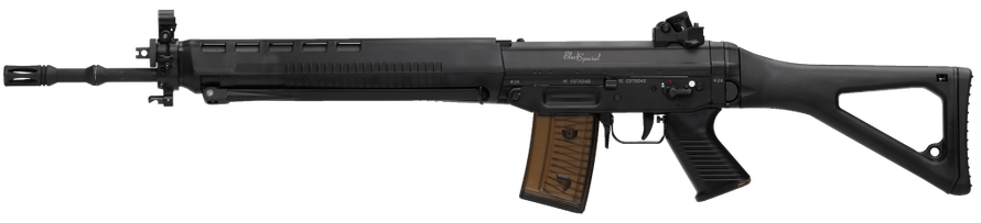 Sig Sturmgewehr 90 STGW90 PE