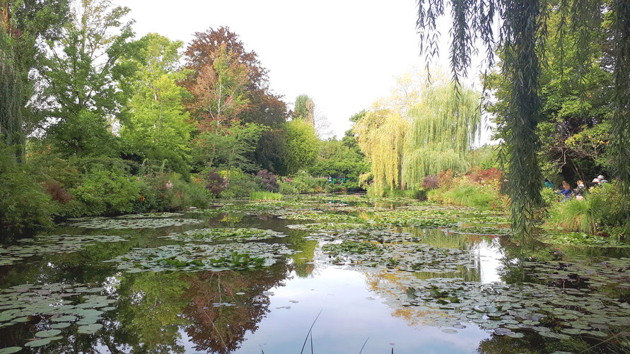 Garten in der Monet Fondation