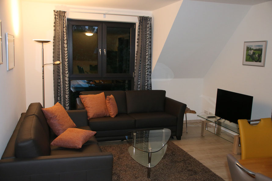 Sitzgruppe mit zwei Ledersofas